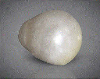  Pearl (Real) 1.39CTS-31038